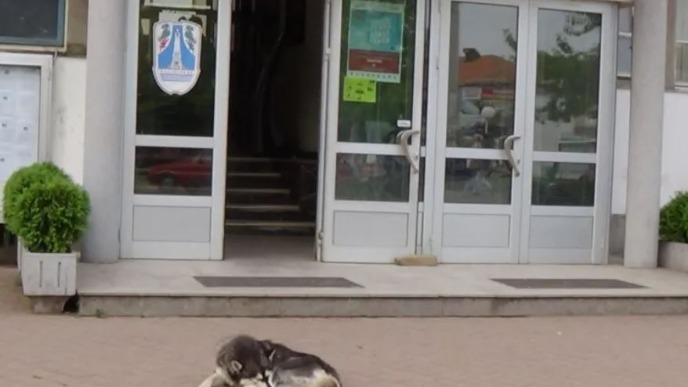 Najvulgarnije pretnje